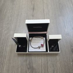 Pandora Bracelet And Charms 