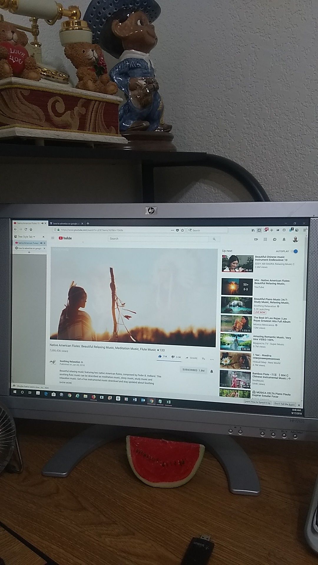 HP f2105 monitor