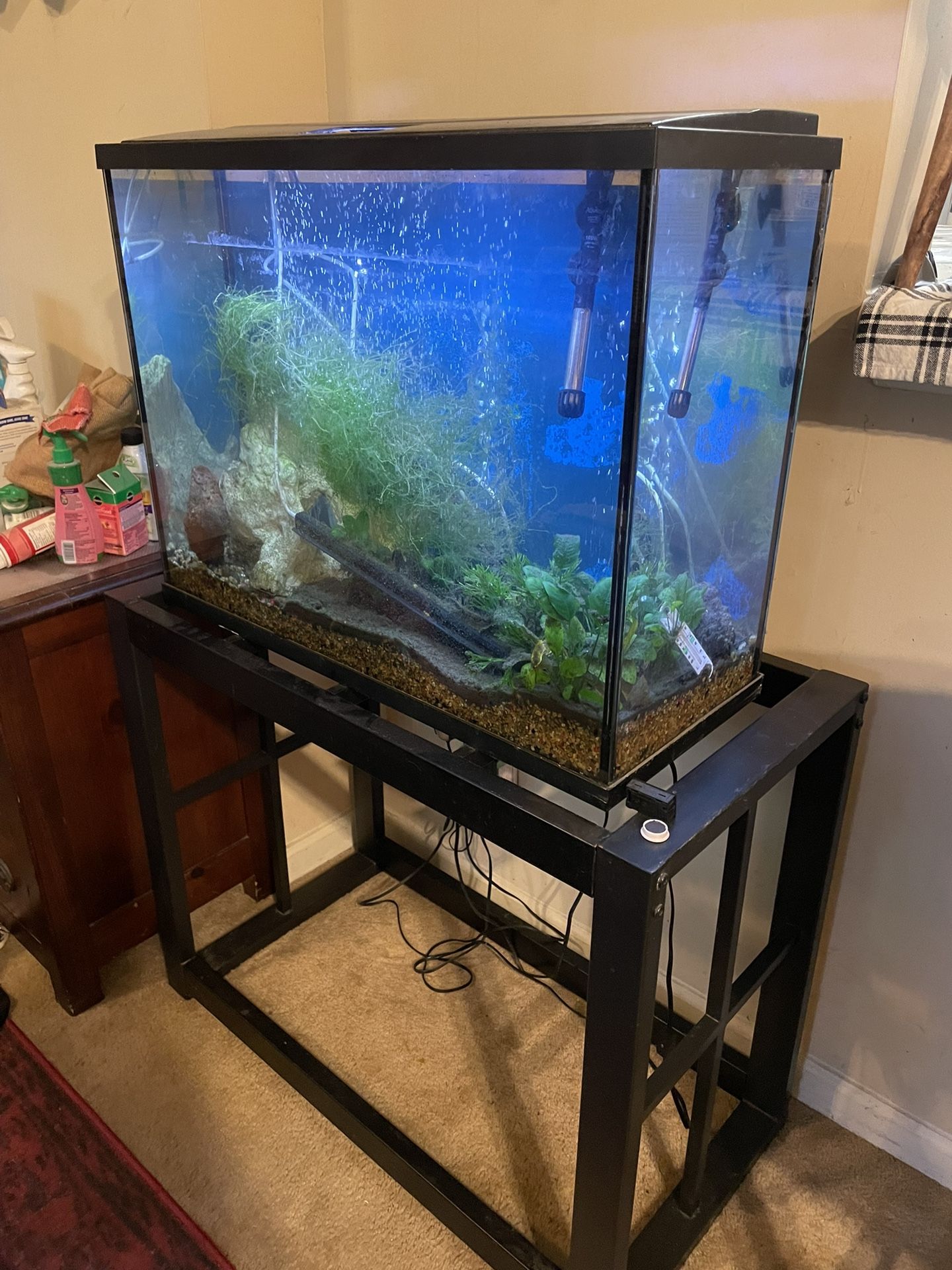 Beautiful 40 Gallon Aquarium With Stand