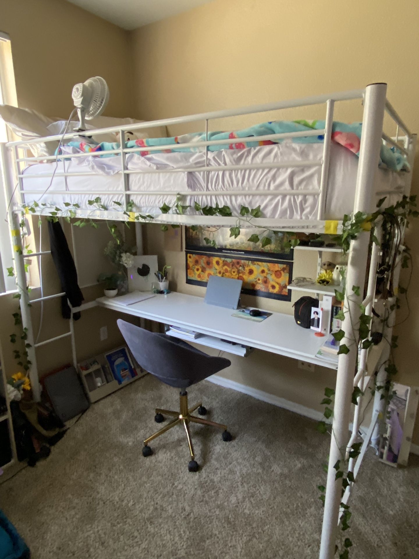 Twin Loft Bed