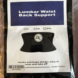 Lumbar Waist Back Support