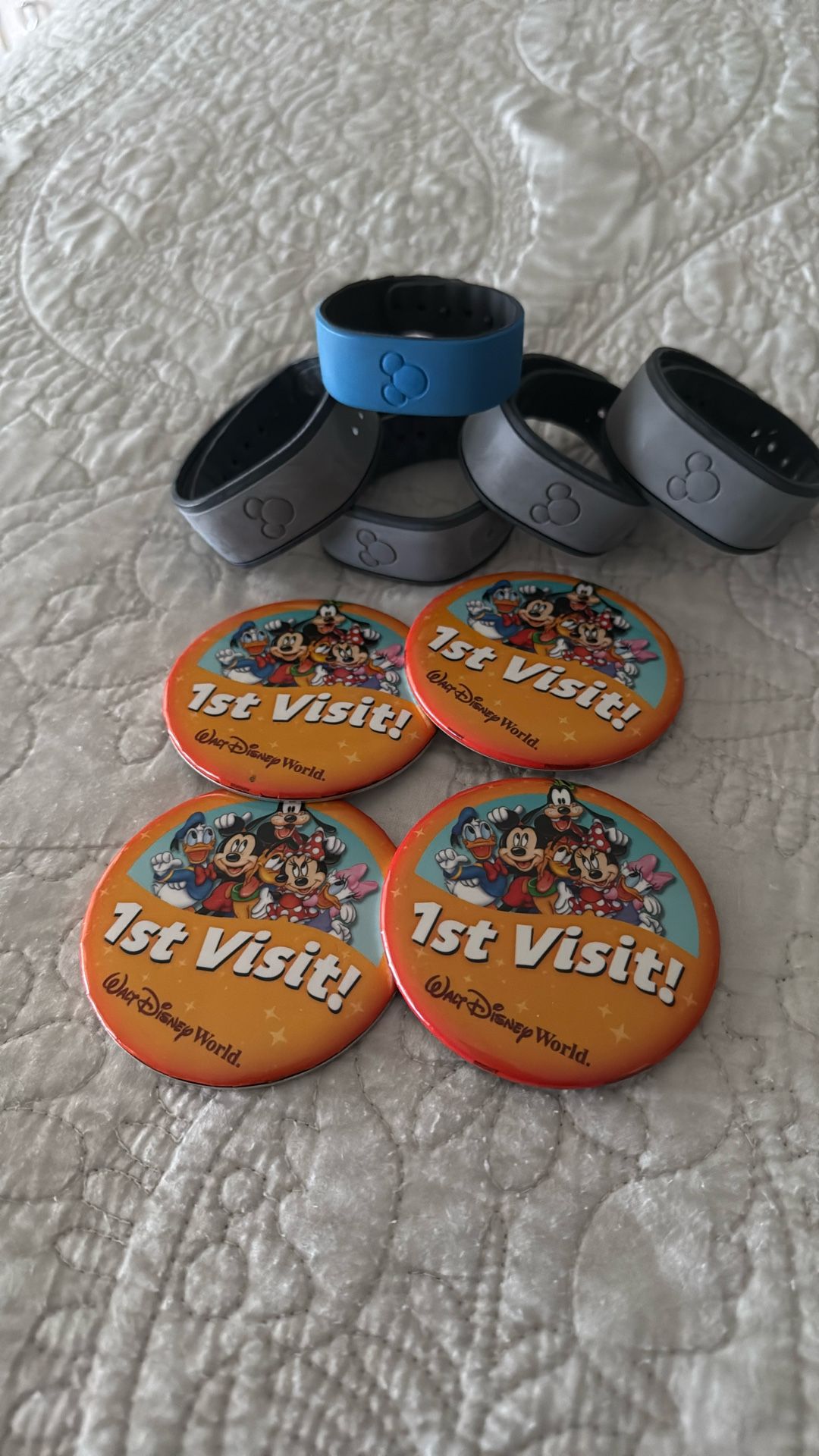 Free Disney Parks Pin And Bracelet