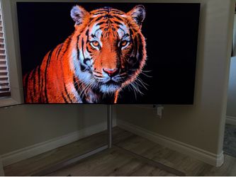 LG OLED G2 65” Gallery Series 4K OLED TV with Premium LG Floor Stand