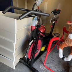 Marcy Spin Bike