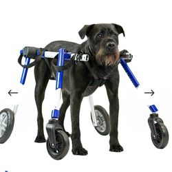 Quad Walkin Wheels Dog Wheelchair Med