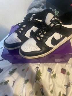 Nike Panda Dunk 10