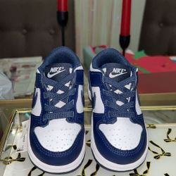 Toddler Nike Dunk Low 