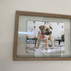 Picture Frame For Sale