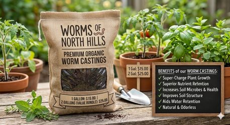 Worm casting aka. "Black Gold" 🌱