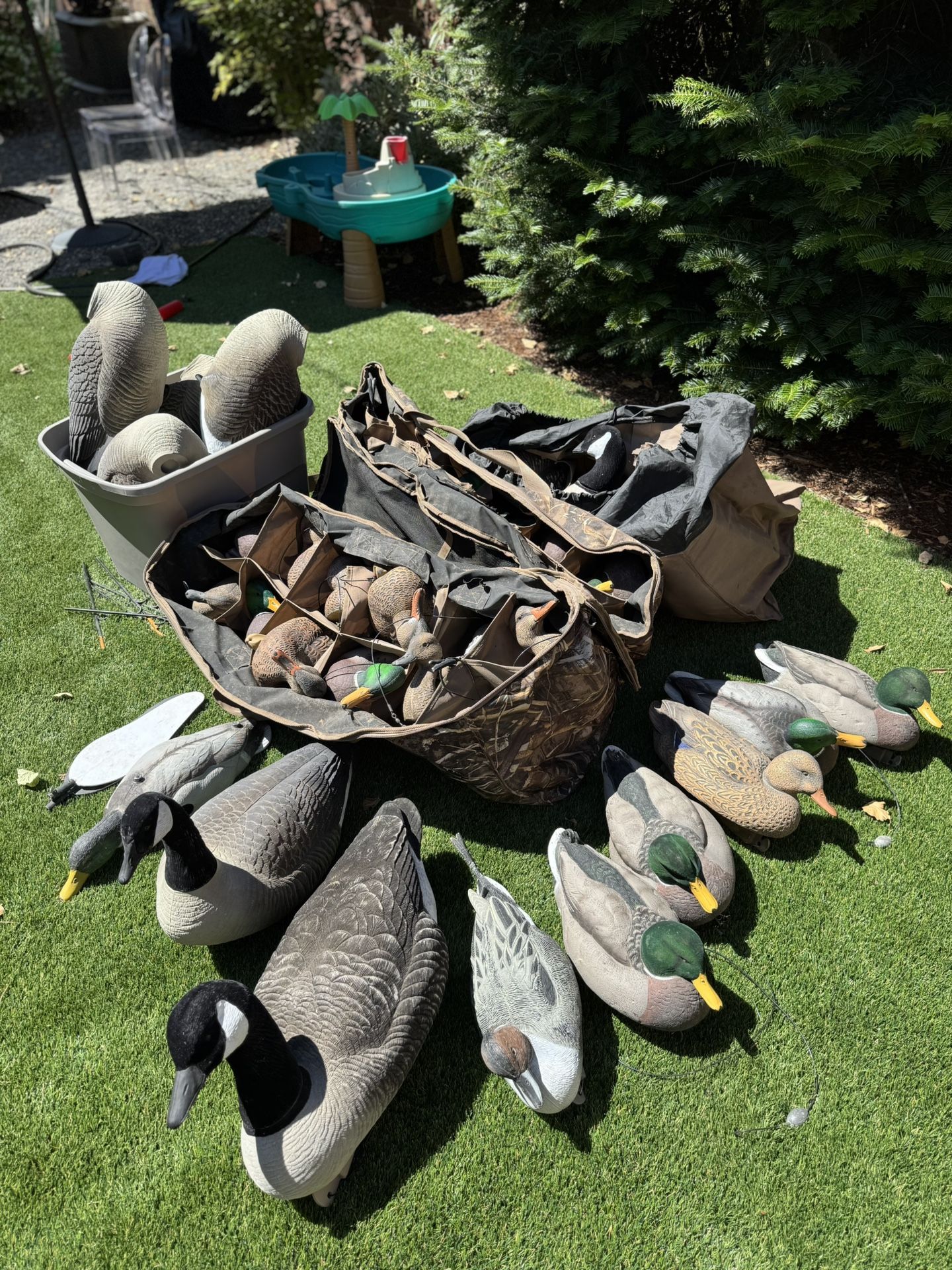 Duck And Goose Hunting Decoys