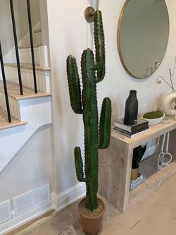 Faux Cactus (plastic)
