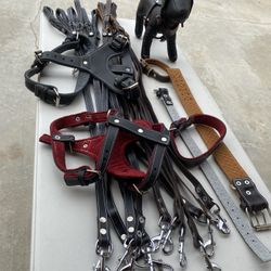 Petnah Luxury Dog Harnesses Leads And Collars