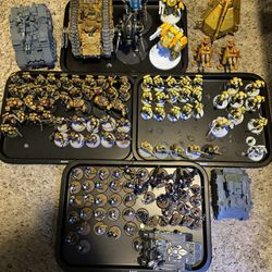 Warhammer 40k Imperial Fists/ Sisters Of Battle