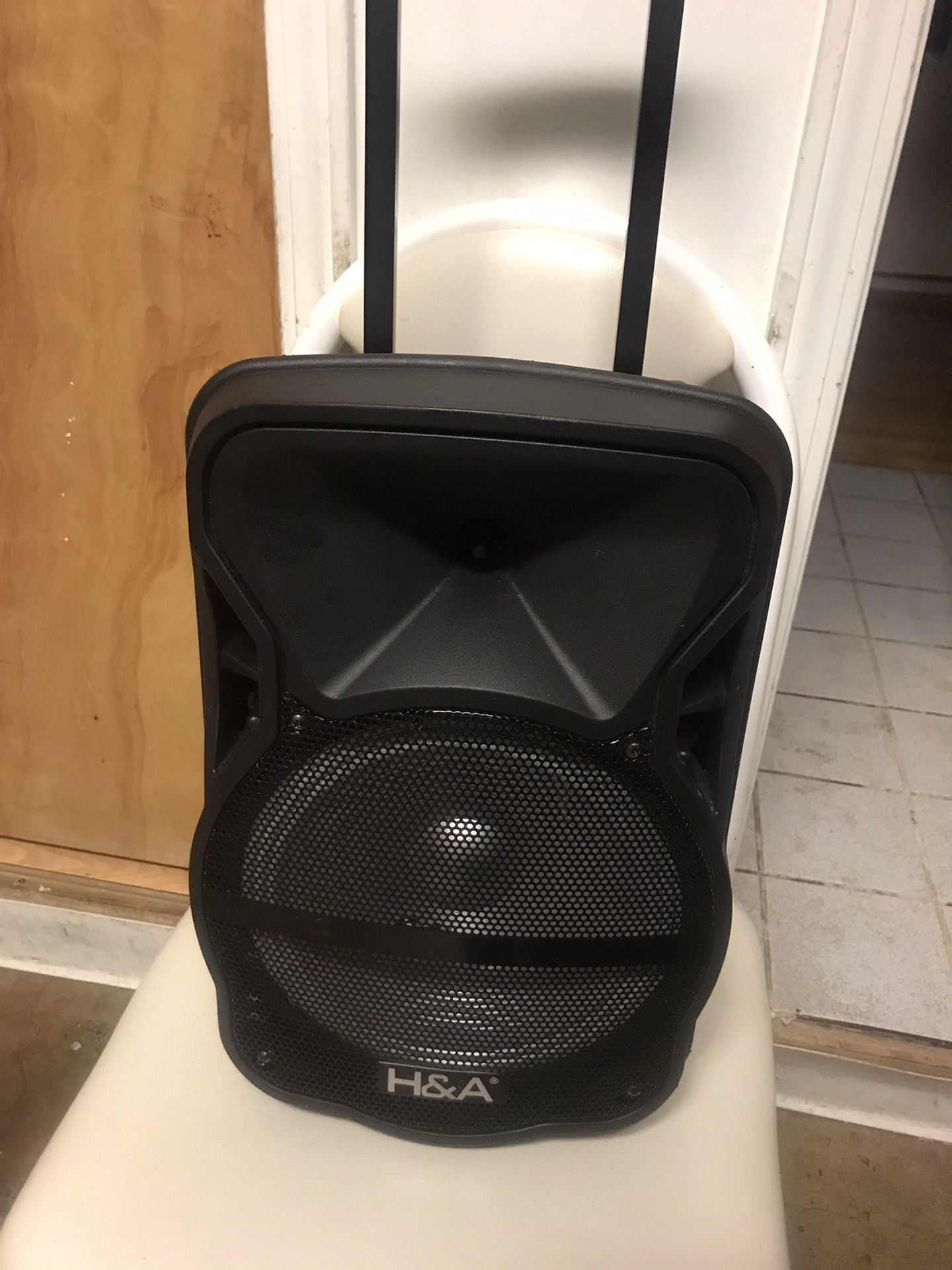 Bluetooth speaker 12”