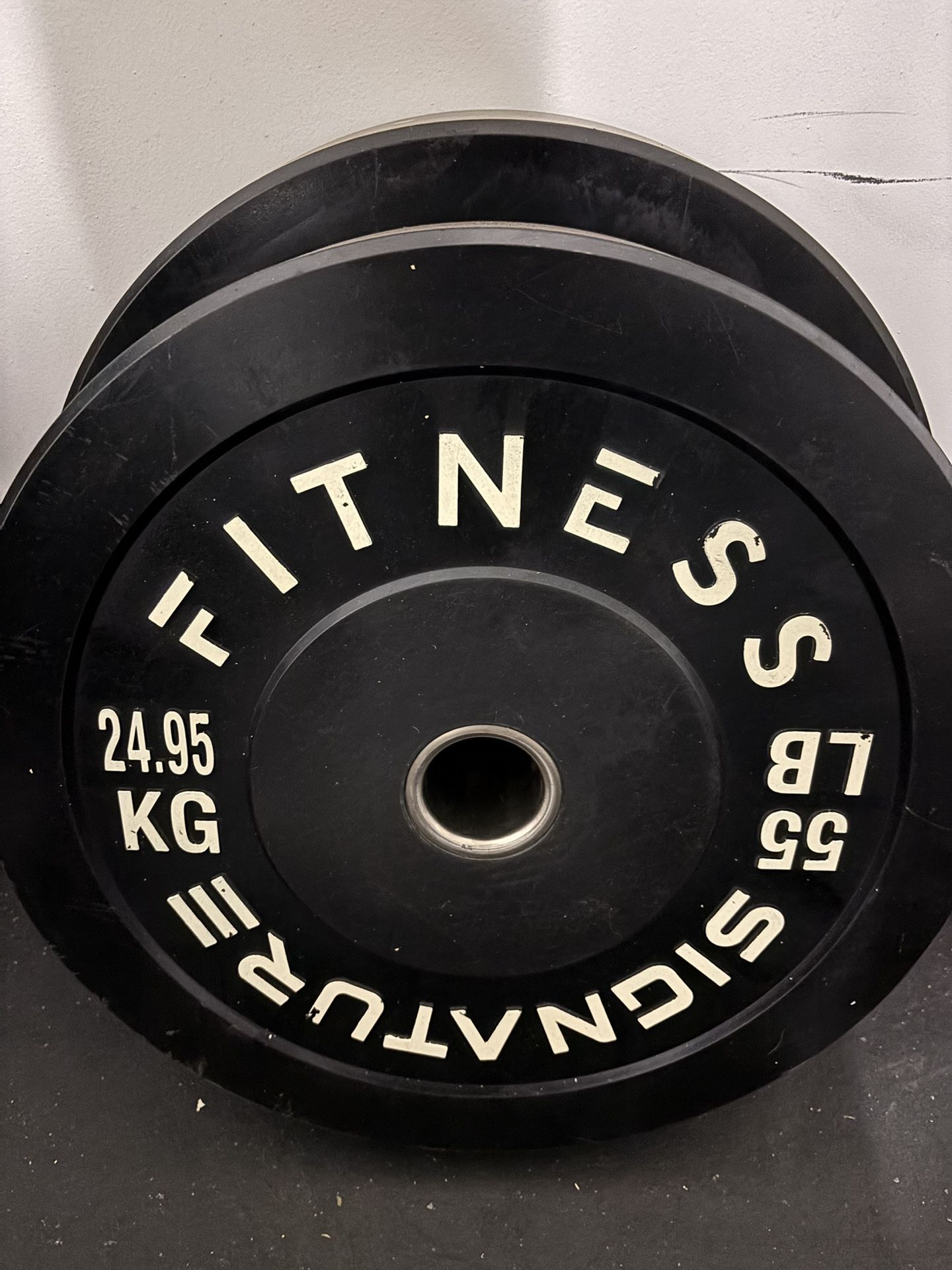 Bumper Plates (55lb x2)