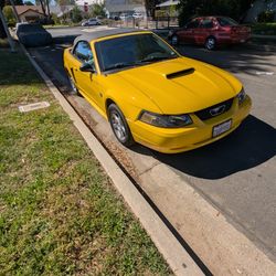 2004 Ford Mustang