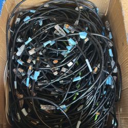 Ethernet Cables $3 