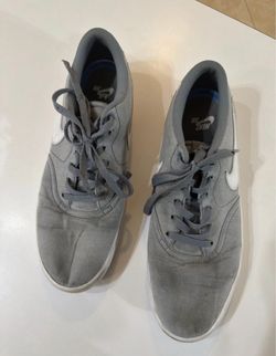Nike SB Low-Top Skate Sneakers