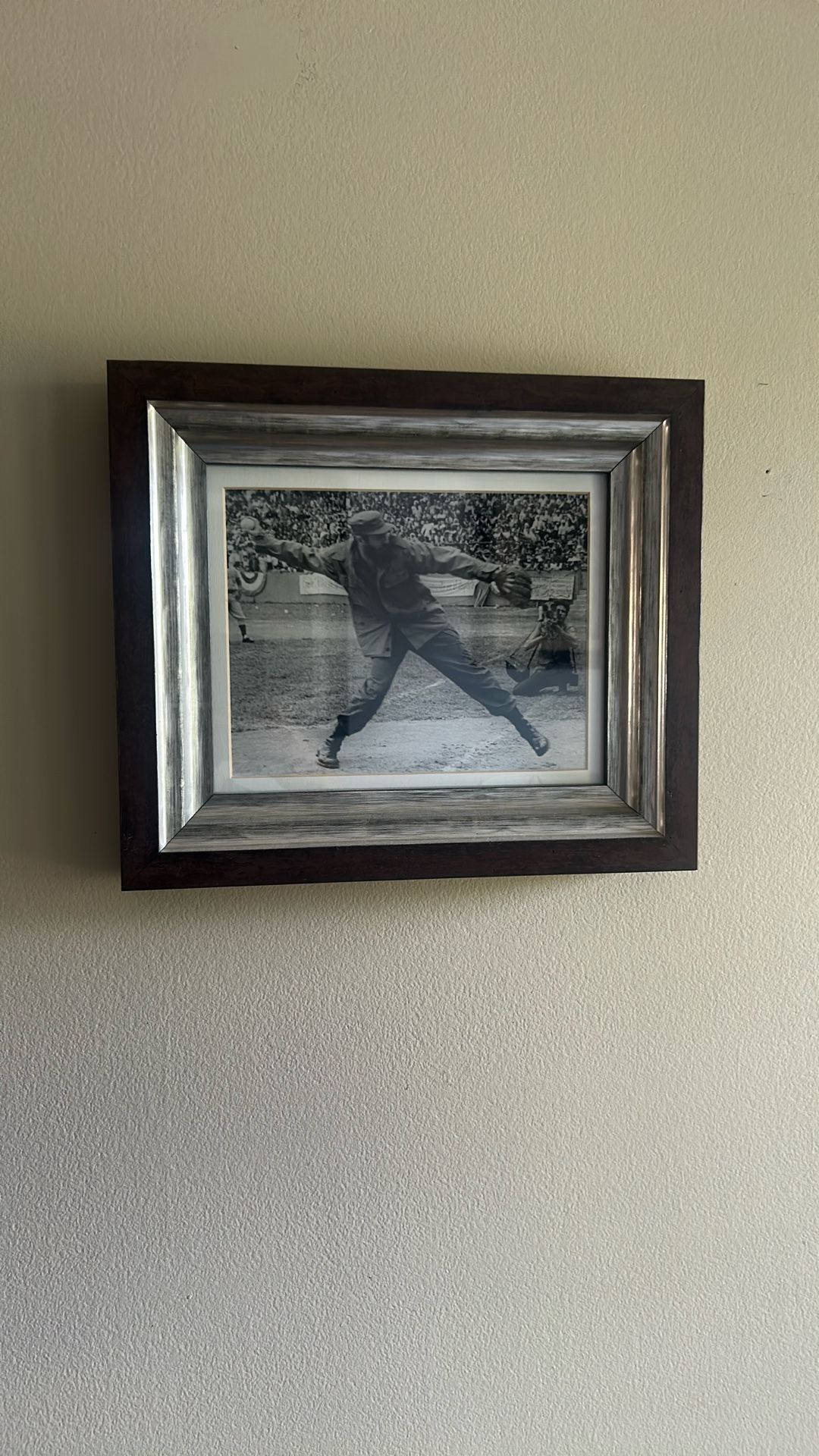 Photograph Of Fidel Castro 