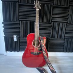 Takamine G Series 