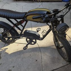 Electric Bike Cooler Kub 250S - Dual Removable Battery, 80km+ Range ebike