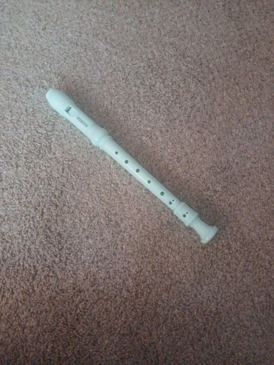 Beautiful Teal Recorder