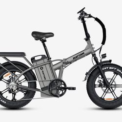 Rattan E-bike