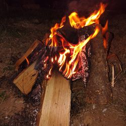 Seasoned Firewood Fir, Maple, Alder , & Wild Cherry