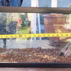 Terarium
