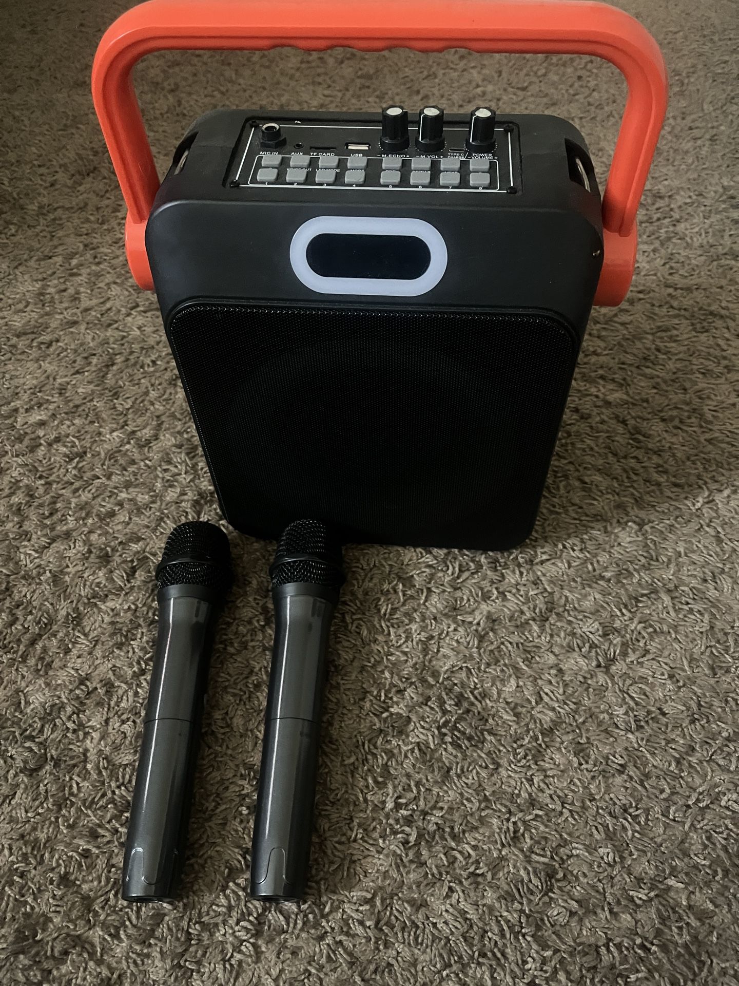 Portable Bluetooth Karaoke Speaker with Dual Wireless Microphones