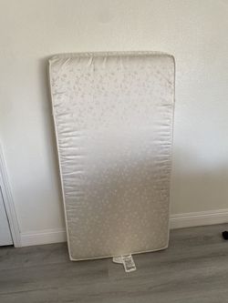 Sealy Crib Mattress