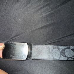 Coach Belt