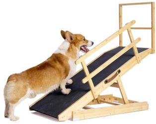 Dog Ramp