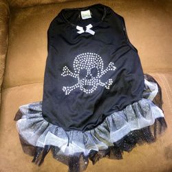 Dog Pirate Dress