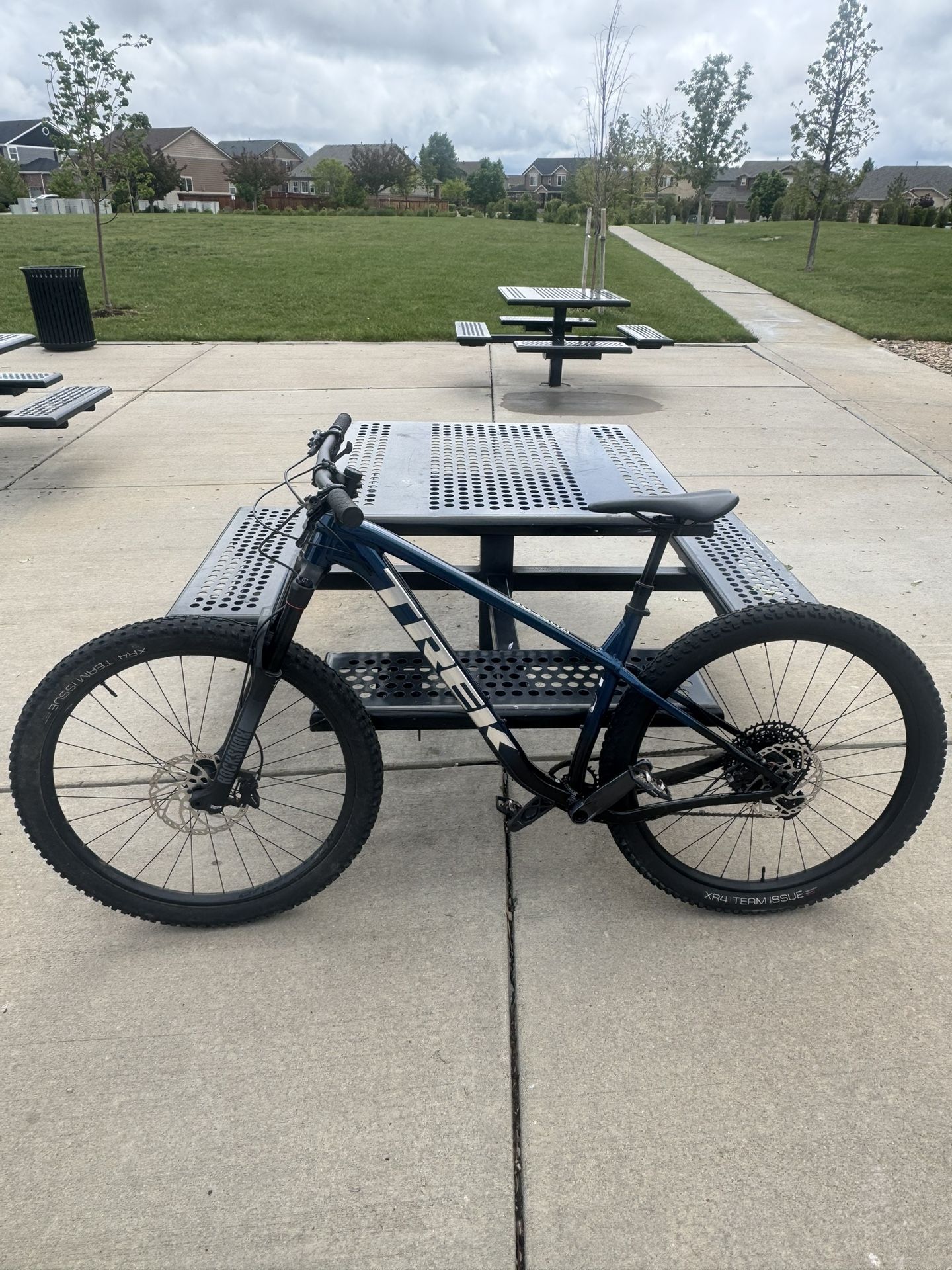 Mountain Bike (trek)