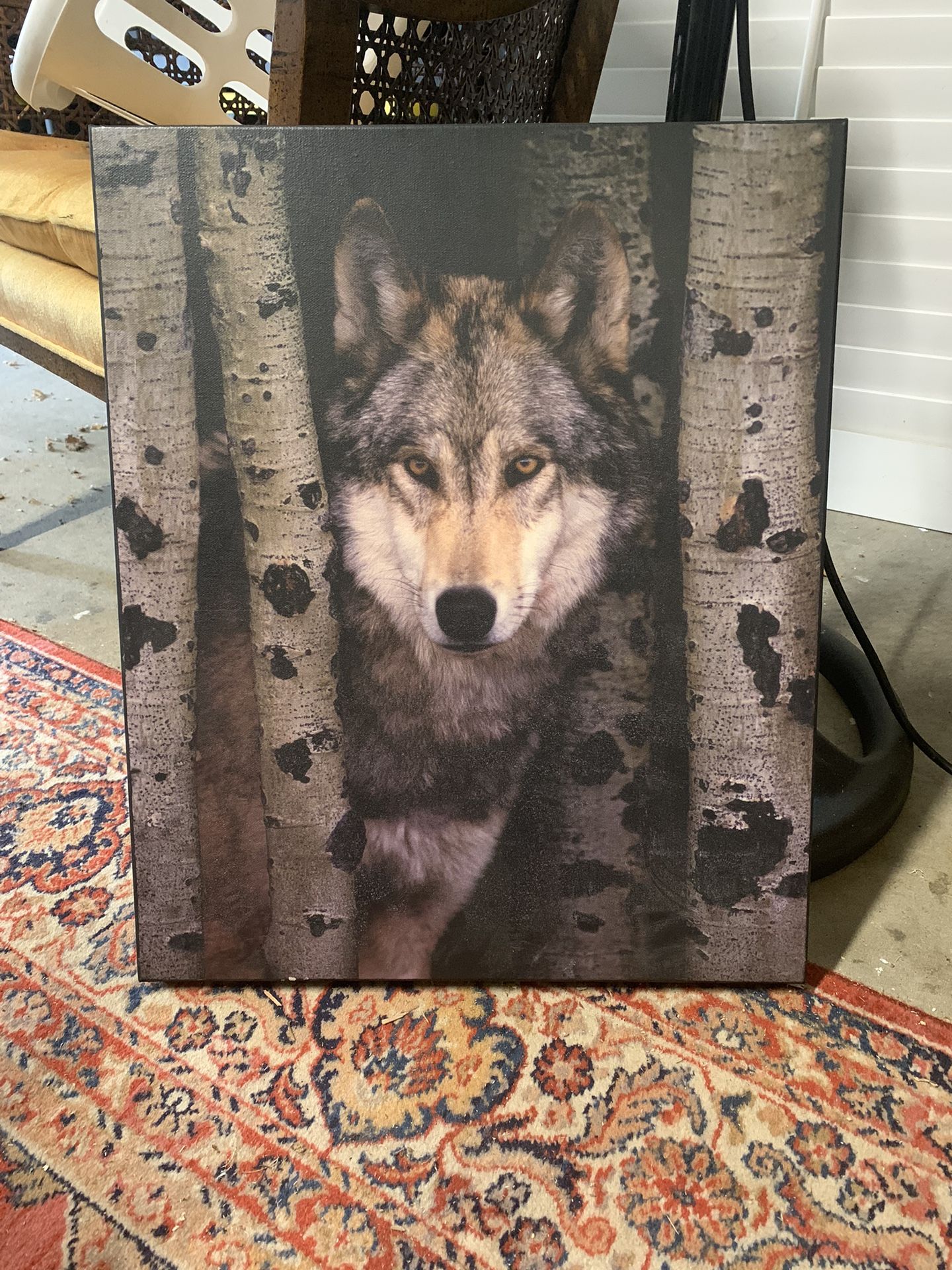 Wolf Canvas Print