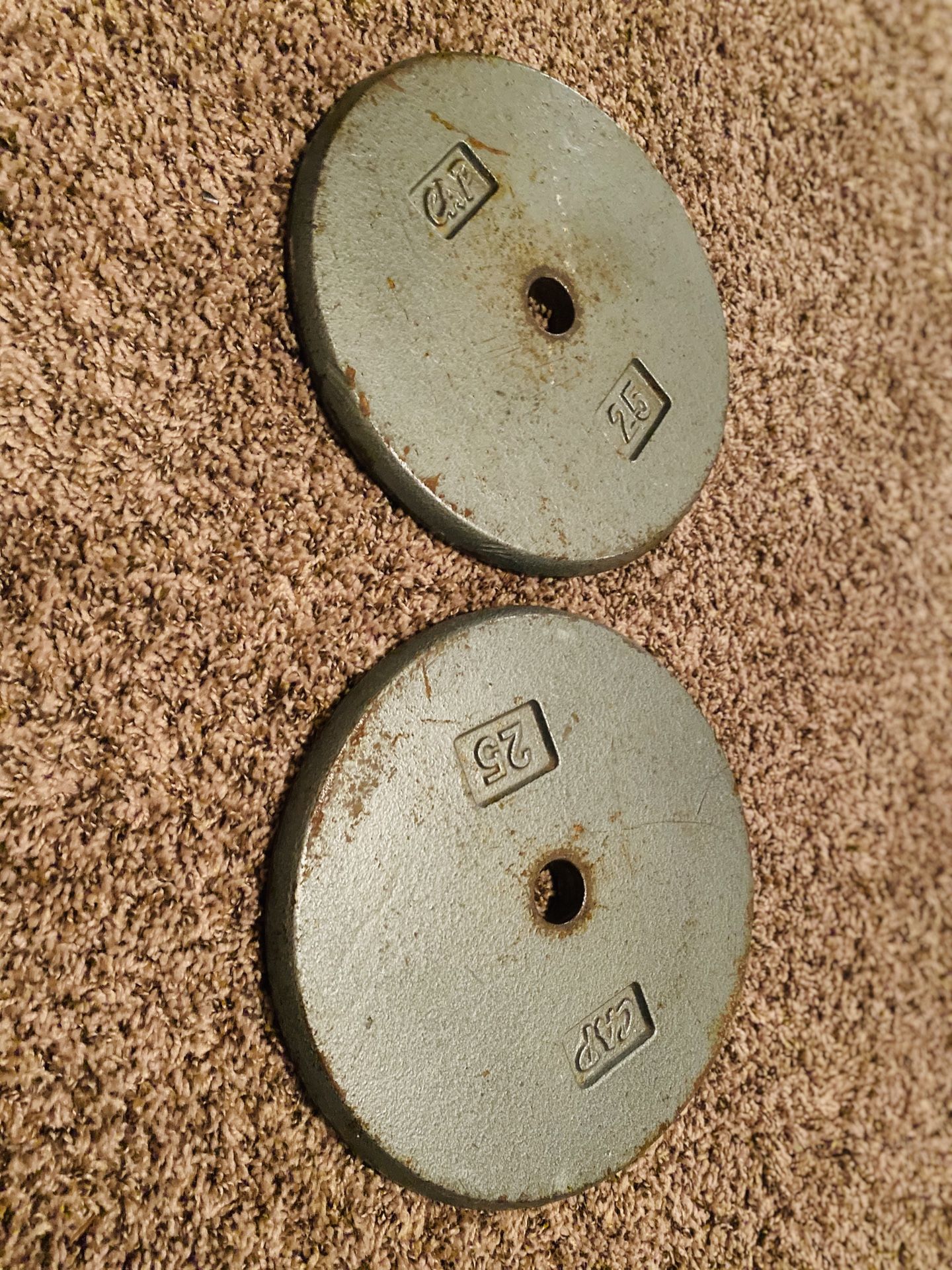 25 lb plates weights