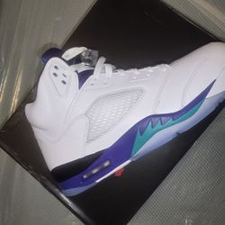 Jordan 5 Grape 2025 Size 10.5
