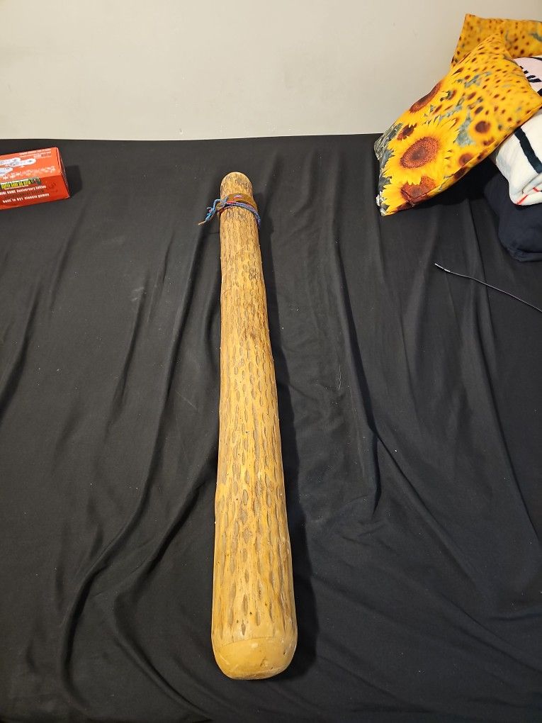 Cactus Rain STICK Instrument 