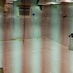 Indoor Grow Set Up Equipment$200