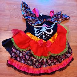 Skeleton Dress Halloween Costume
