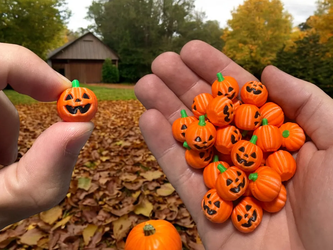 Mini Pumpkins