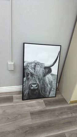 Cow canvas photos