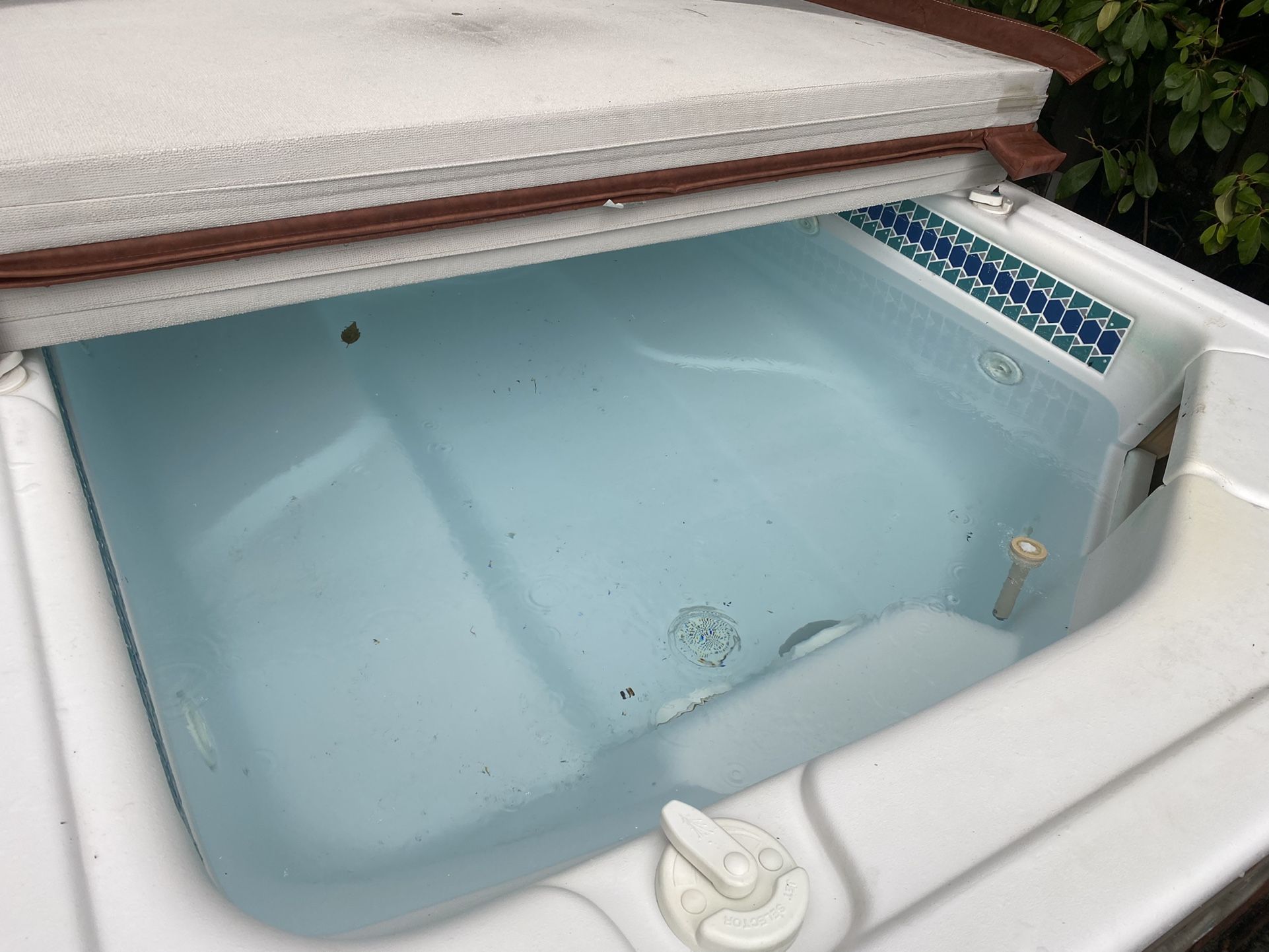 95 Hot Springs Prodigy Hot Tub
