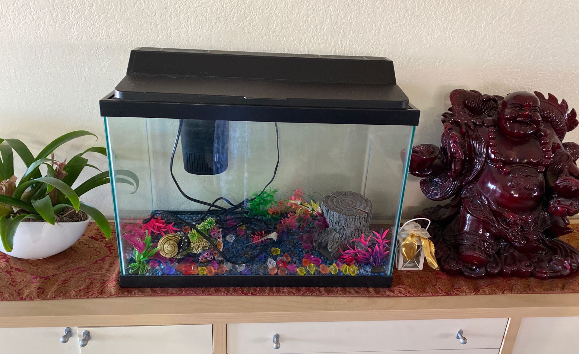 50 Gallon Fish Tank
