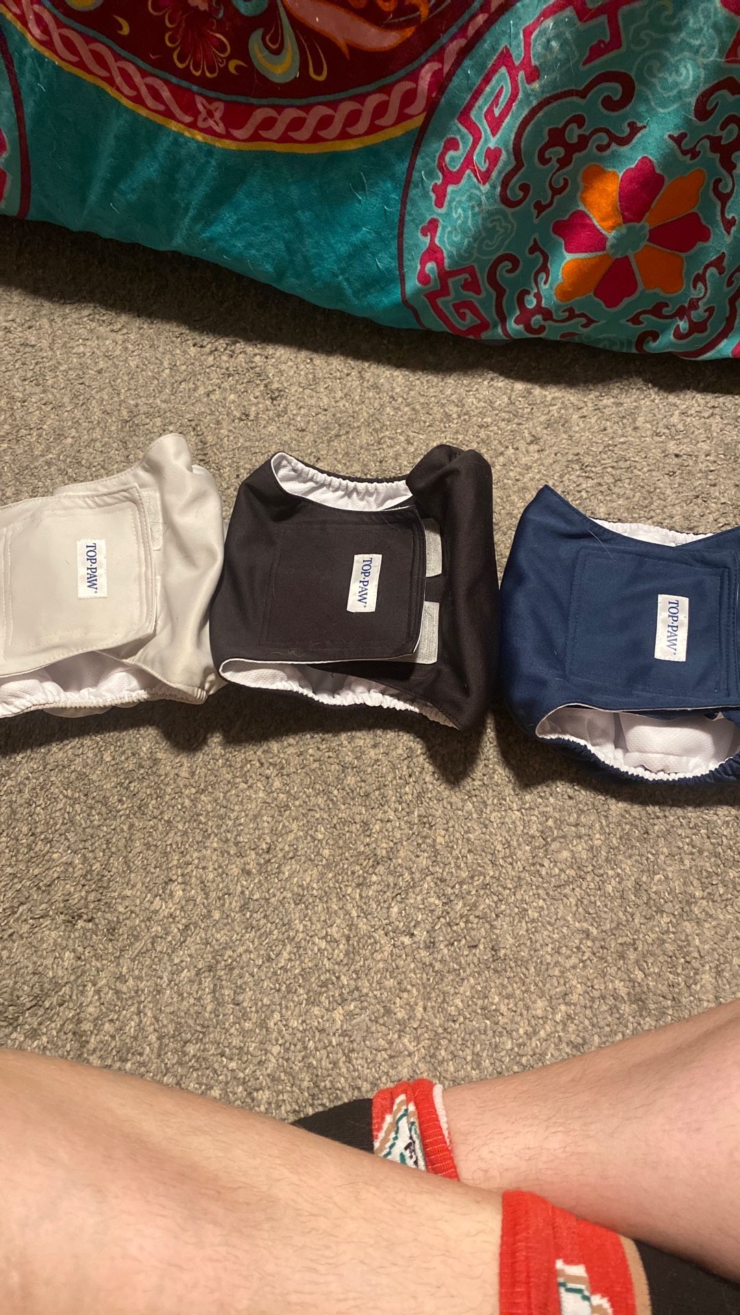 3 Reusable Male Dog Wraps