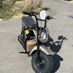 2025 - Real Tree 100