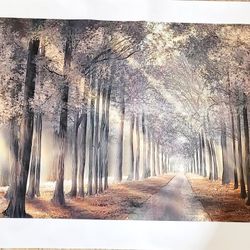 Modern Natural Landscape Wall Art  Prints Brown Sunny Forest St Canvas 35x20