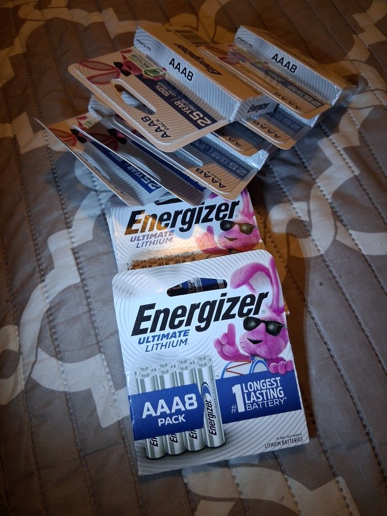 AAA Lithium Ion Batteries 