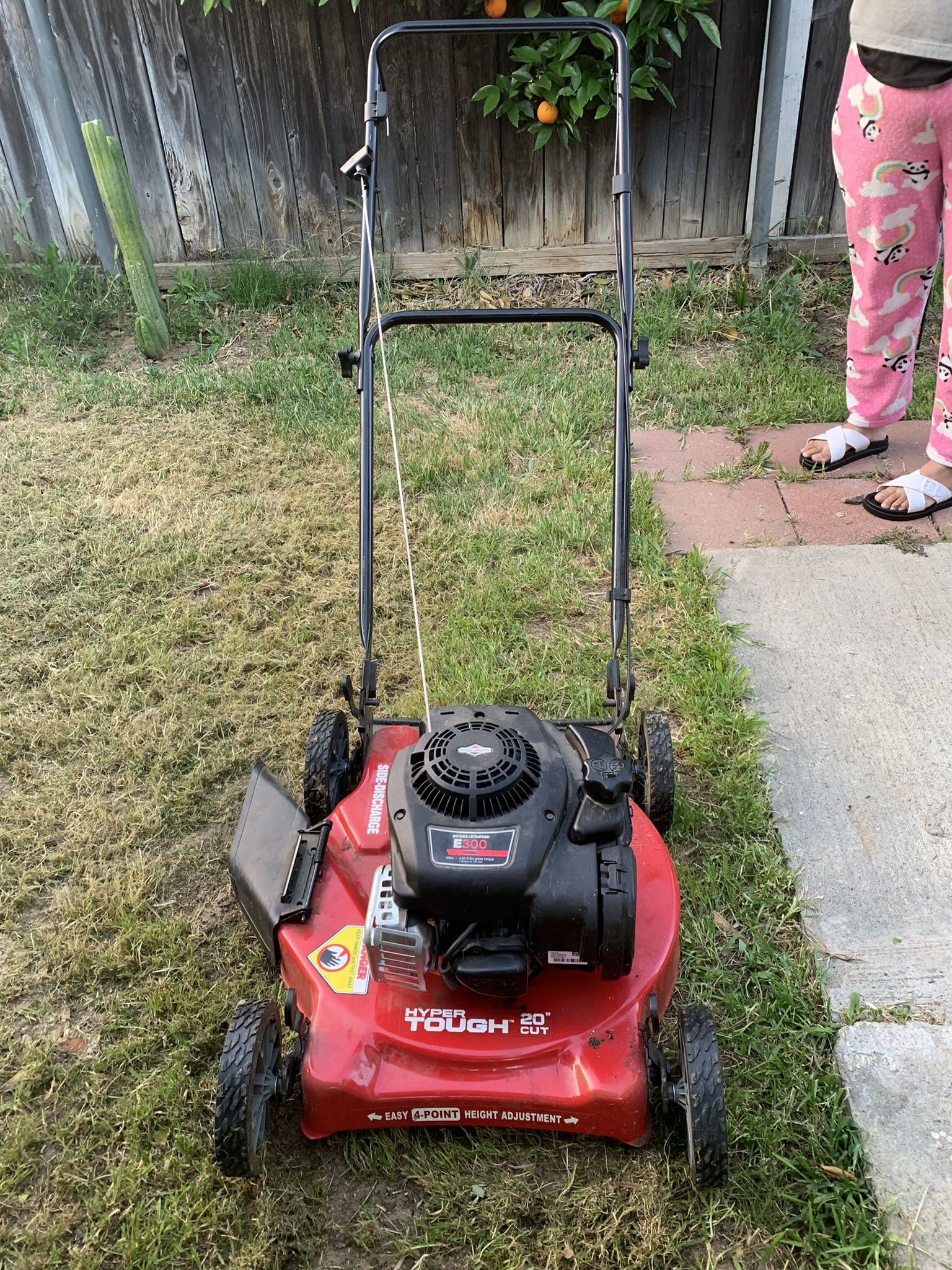 Lawn Mower (open To Offers)